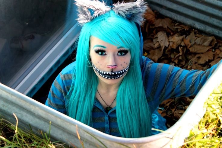 Freaky Cheshire Cat Makeup