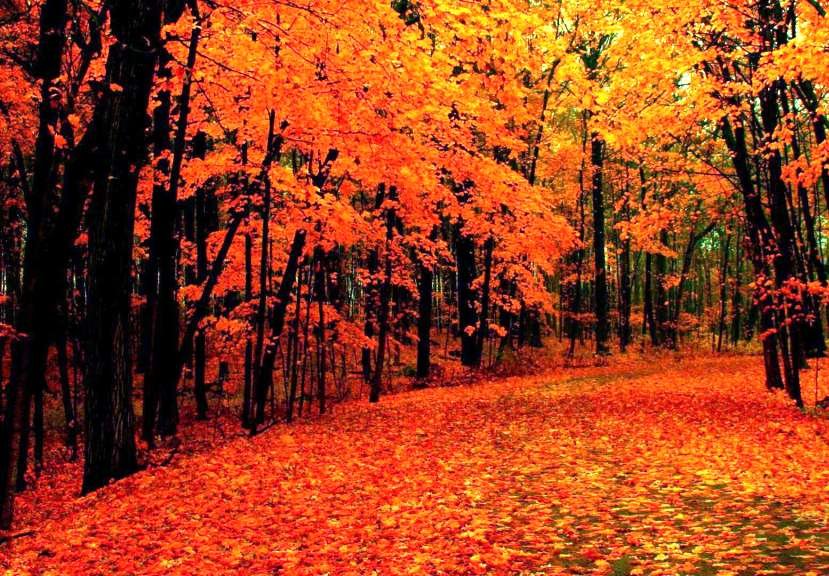 12-beautiful-autumn-wallpapers