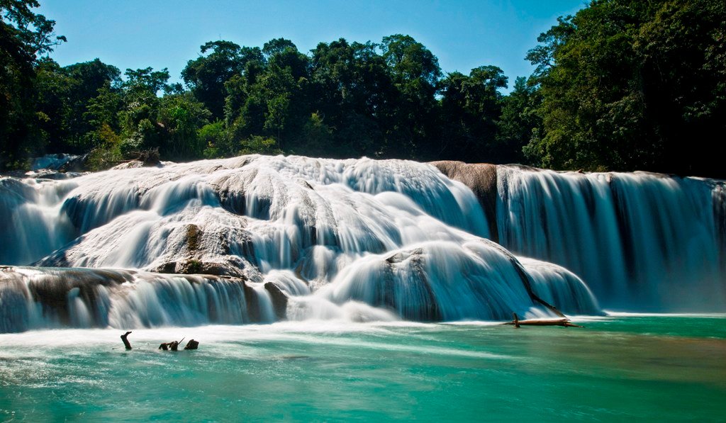 7-true-toad-azul-waterfalls-mexico