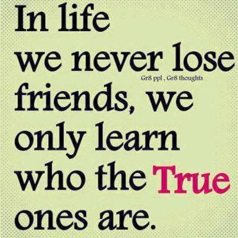 17-friendship-quotes