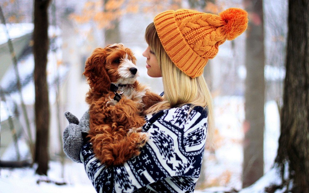 girls_girl_in_orange_hat_holds_a_dog_