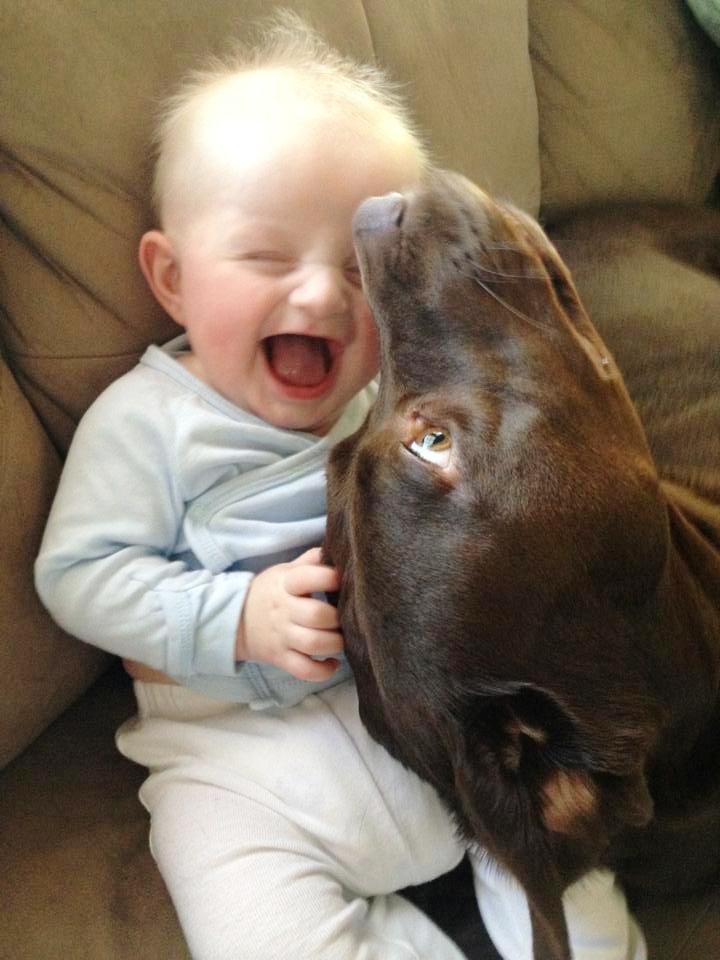 dog-and-baby