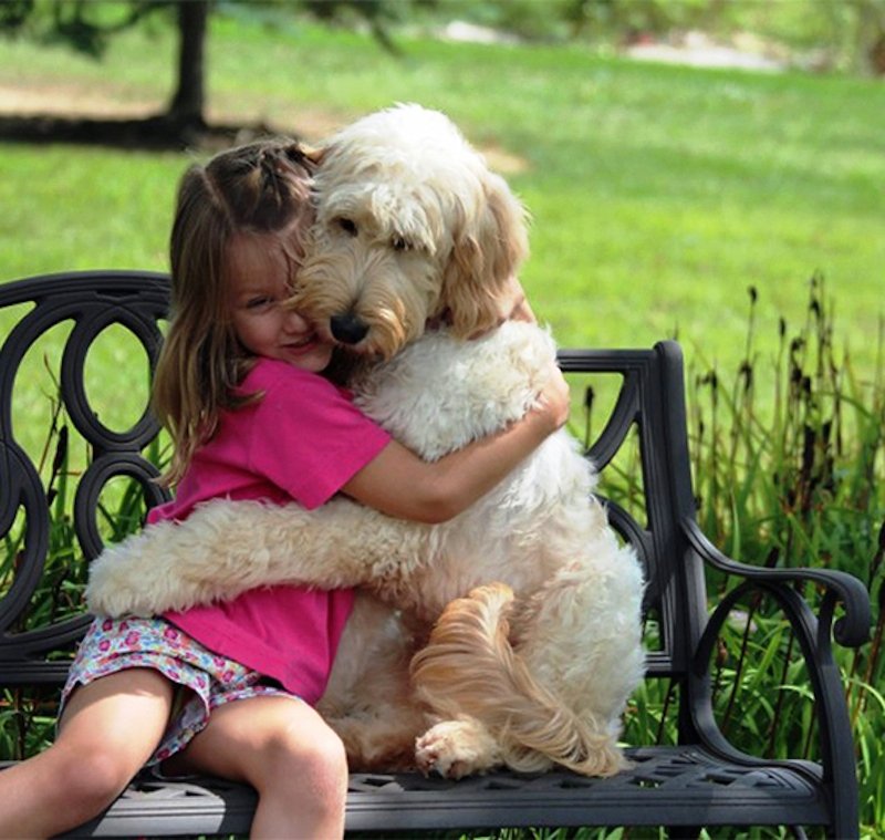 dogs-hugging-humans-98