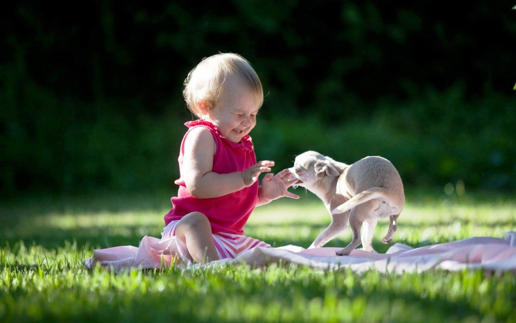 human-and-dog-cute-movements