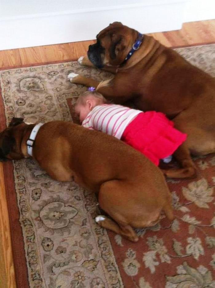 kids-with-dog