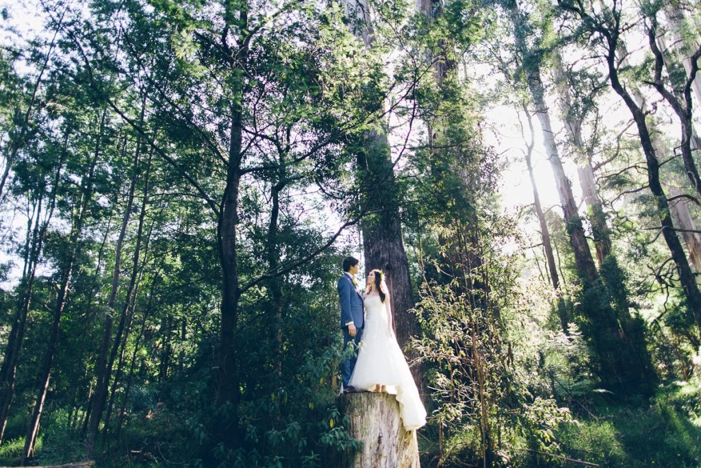 wedding-photography-nature-forest-melbourne