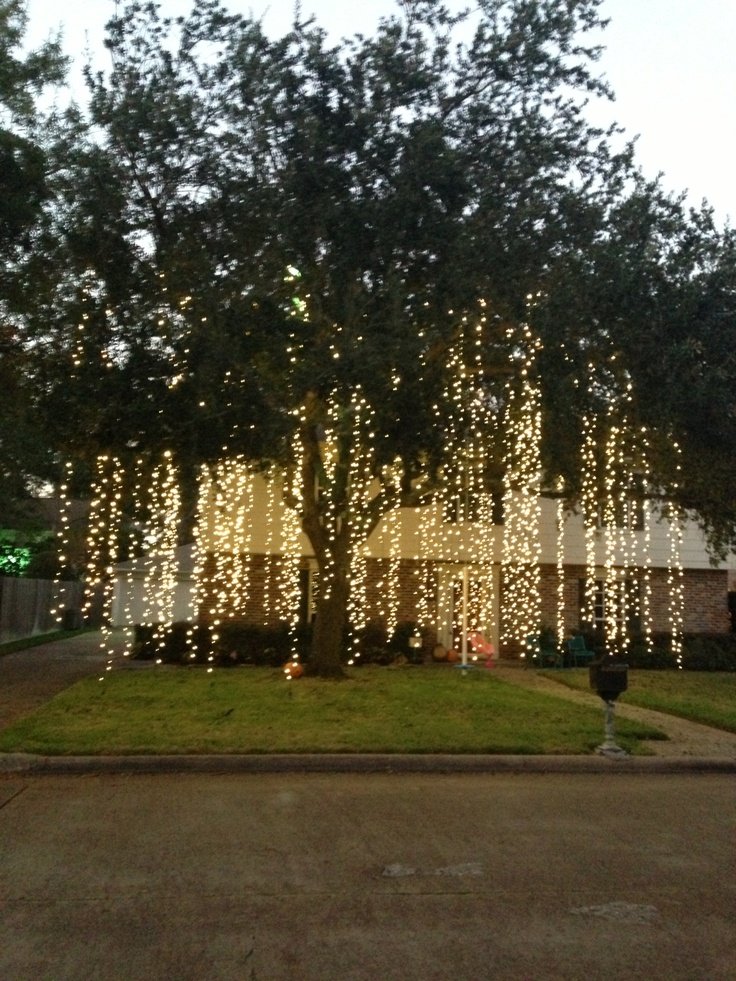 Wedding Tree Lights Outdoor