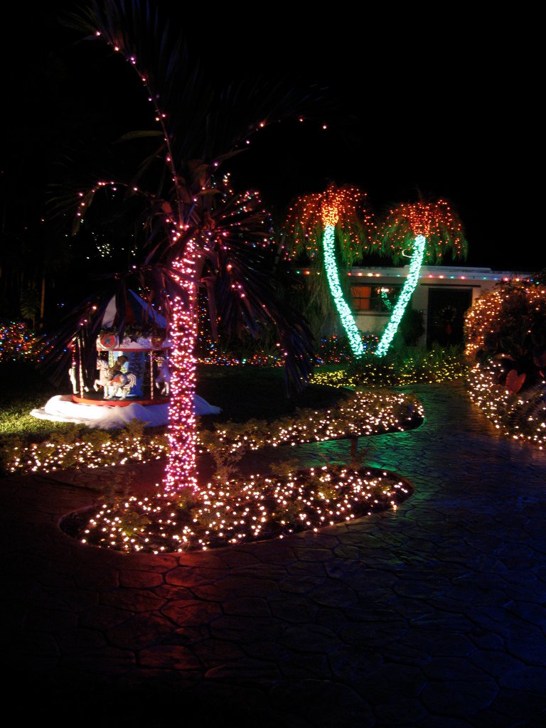 Outdoor Christmas Light Decorations