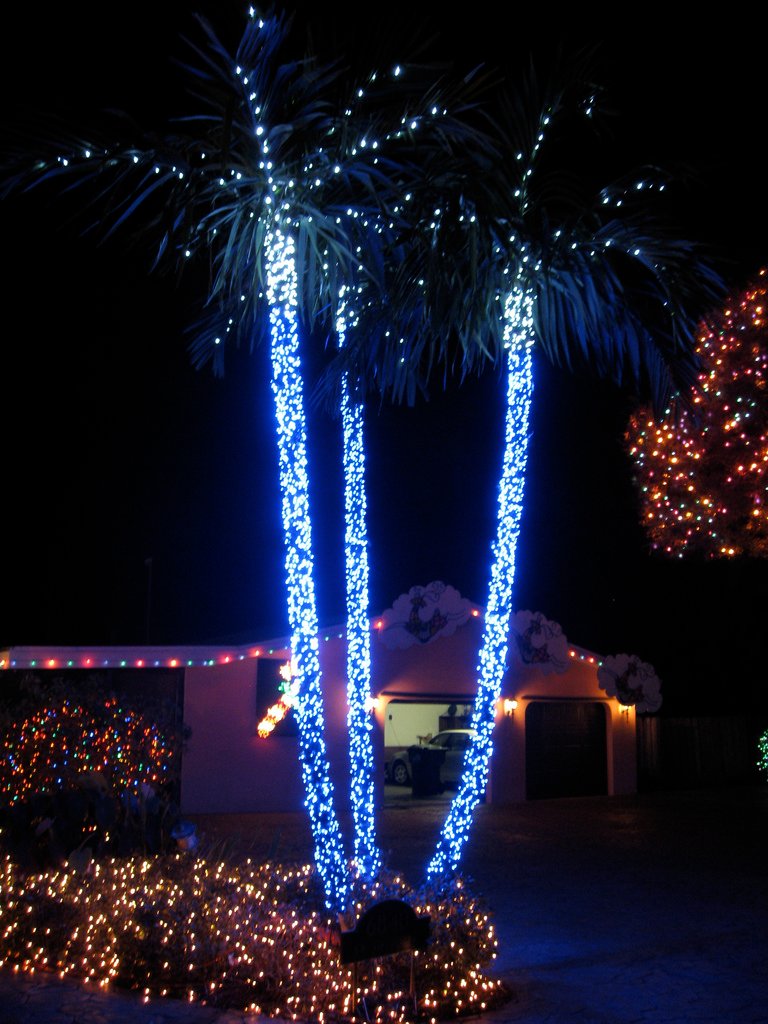 Outdoor Christmas Lights