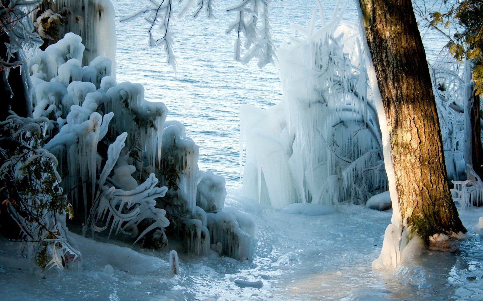 Shivering Ice storms Photography (3)