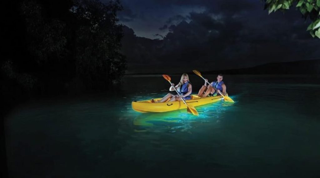 How to enjoy a Vieques bioluminescent bay tour