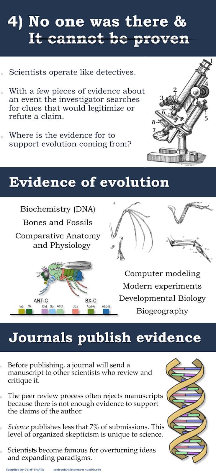 The myths about evolution4