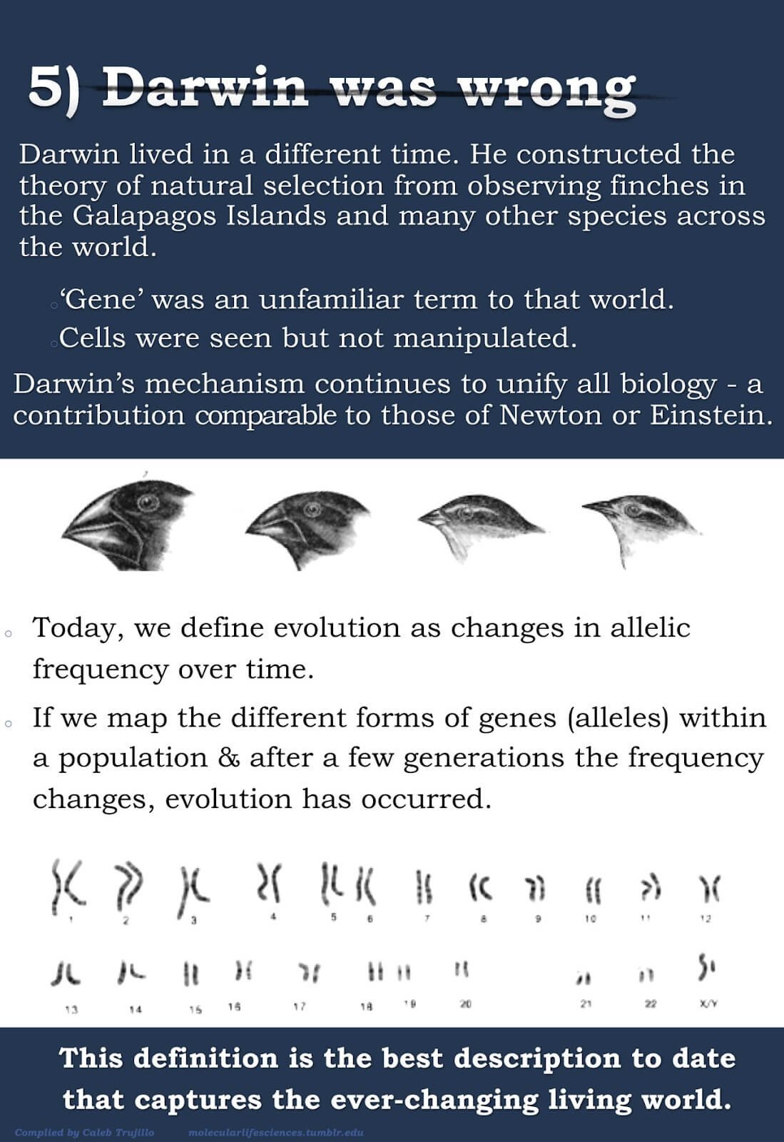 The myths about evolution5