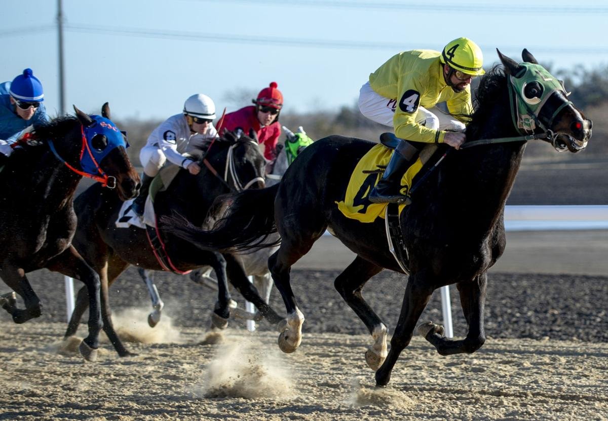 Horse Race Betting1