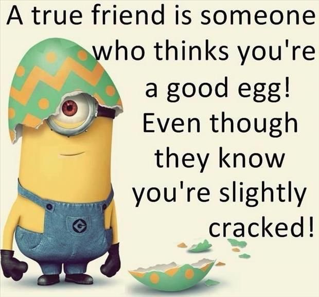 Best-30-Minions-Best-Friend-Quotes-Humor-Funny