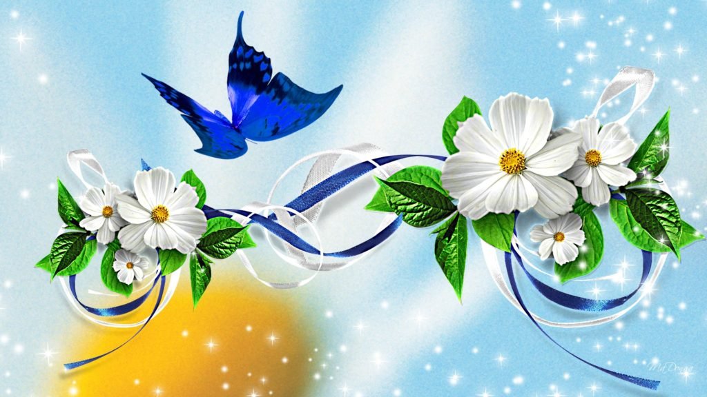 Best Colorful And Free Butterfly Wallpapers Inspired Luv