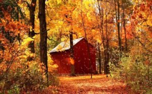 20 Beautiful Autumn Wallpaper Ideas For You