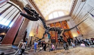 7 Museum To Visit In New York